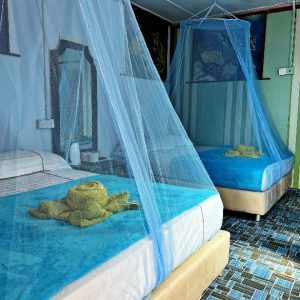 Bilik Standard 2 Queen Bed