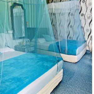 Bilik Standard 2 Queen Bed-Kelambu