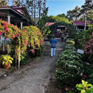 Mukut Coral Chalet Main entrence