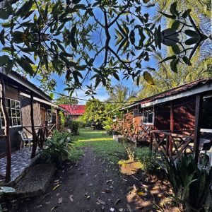 Mukut Harmony Chalet-8 room available